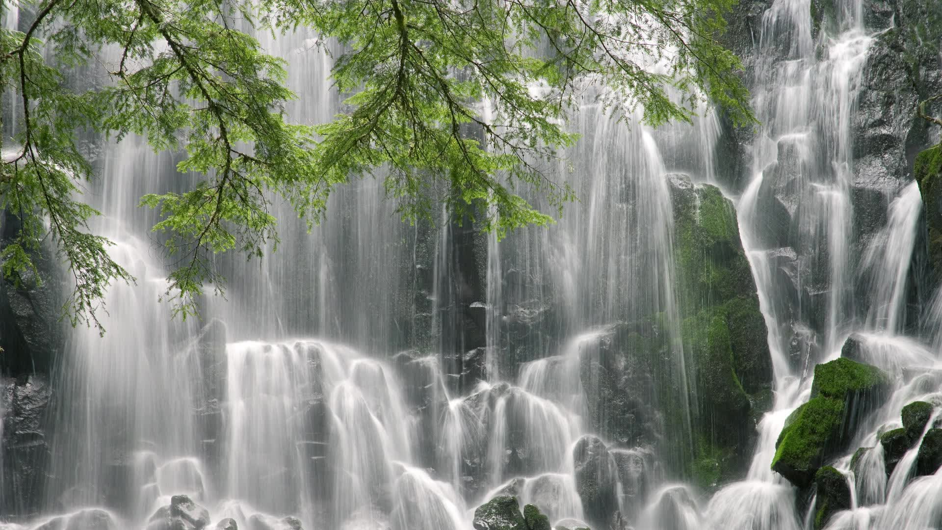 世界混合团体接力山地赛预赛：坡度与海拔多重参数成为分组依据
